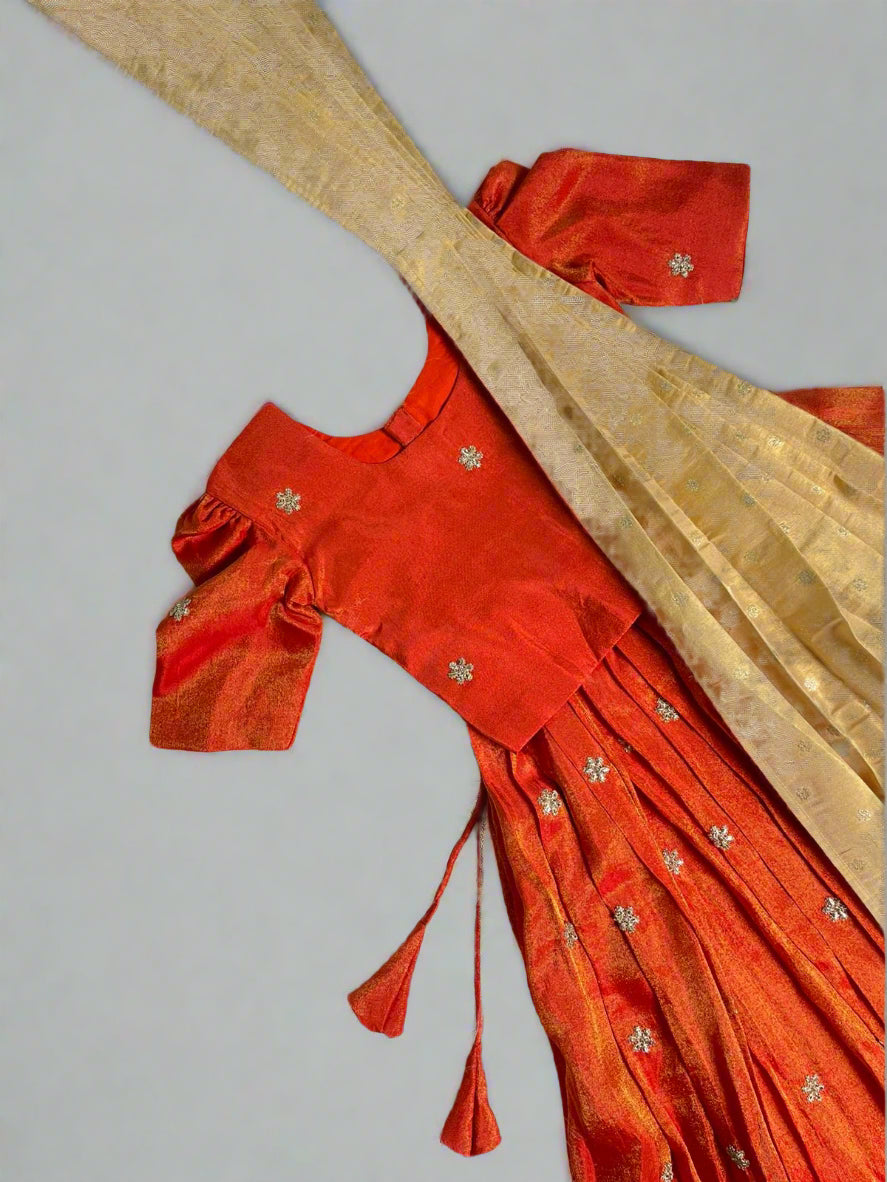 Zari Tara - Orange Half Saree