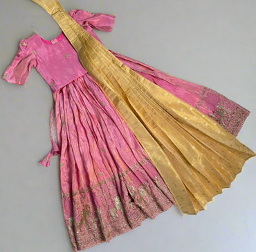 Zari Tara - Pink Half Saree