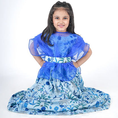 Crown in Chiffon